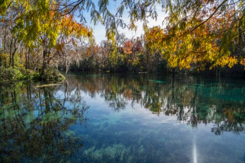 A serene lake surrounded by trees with autumn foliage, reflecting the colorful leaves and clear water.