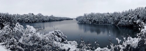 A serene winter landscape featuring a snow-covered river surrounded by frosted trees under a gray sky.