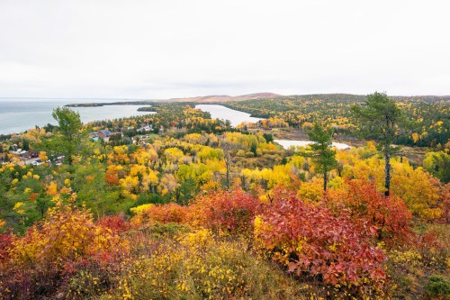 A scenic view of a colorful autumn landscape with vibrant yellow and red foliage, rivers, and a distant shoreline.
