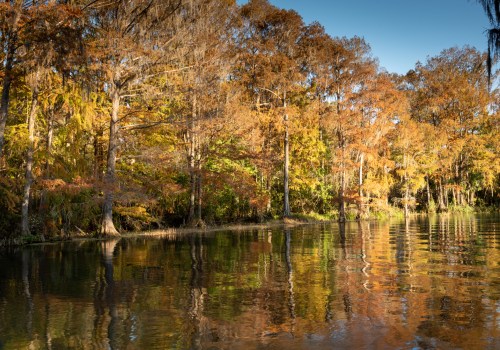 A serene river scene with autumn foliage reflecting on the water, surrounded by trees in vibrant fall colors.