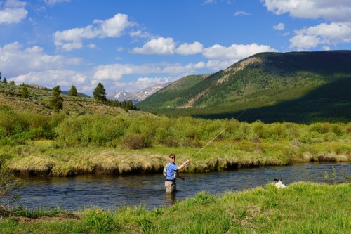 A person fishing in a river surrounded by lush greenery and mountains under a blue sky with fluffy clouds.