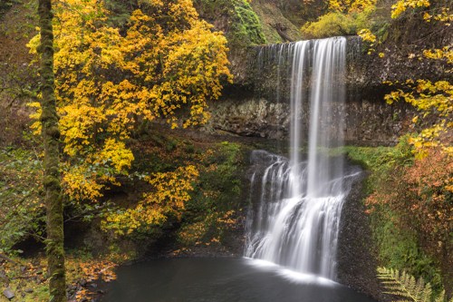 A serene waterfall cascades over rocks, surrounded by vibrant autumn foliage in shades of yellow and green.