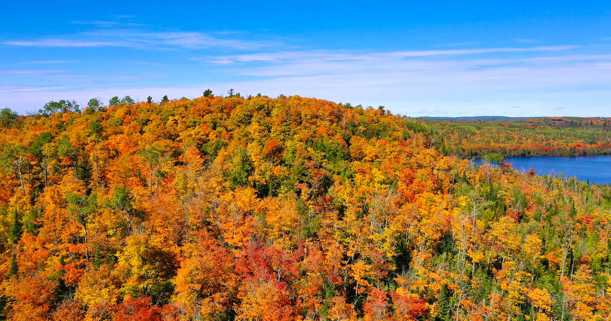 Here Are The Best Times And Places To View Minnesota’s Fall Foliage In 2024