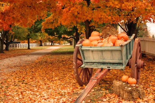 A rustic cart filled with pumpkins sits on a leaf-covered path, surrounded by vibrant autumn trees.