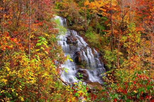 A serene waterfall cascades through vibrant autumn foliage in a colorful forest setting.