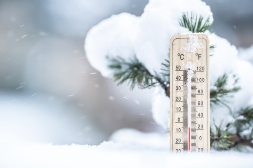 A thermometer in snow, showing a low temperature, with a pine branch in the background.