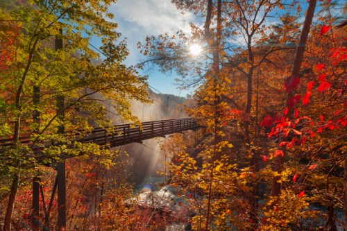 A wooden bridge spans a misty river, surrounded by vibrant autumn foliage and sunlight filtering through the trees.