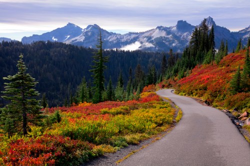 A winding road through vibrant autumn foliage, with mountains and a cloudy sky in the background.