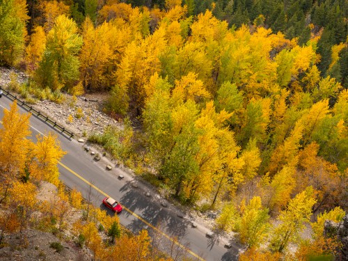 Aerial view of a winding road surrounded by vibrant autumn foliage in shades of yellow and green. A red car drives by.