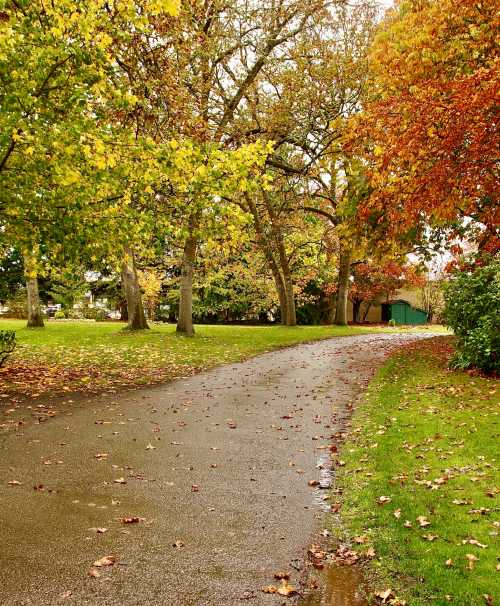 A winding path through a park lined with trees displaying autumn foliage in vibrant yellow and orange hues.