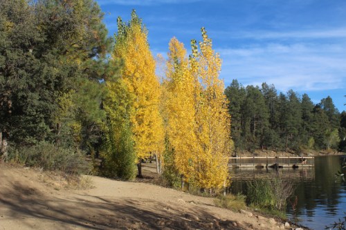 Golden autumn trees line a sandy path beside a calm lake, surrounded by green pine forests under a blue sky.
