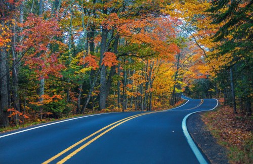 A winding road surrounded by vibrant autumn foliage in shades of orange, red, and yellow.