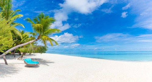 A serene beach scene with a hammock between palm trees, clear blue water, and a bright sky.