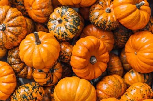 A close-up of various orange pumpkins, some with green speckles, piled together in a vibrant autumn display.