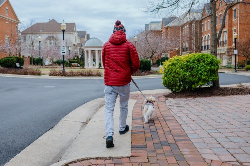 A person in a red jacket walks a small dog along a brick path in a suburban neighborhood.