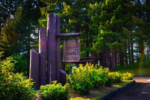 Sign for Silver Falls State Park surrounded by lush greenery and tall trees.