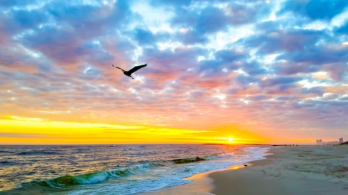 A serene beach at sunset, with vibrant clouds and a bird flying over gentle waves.