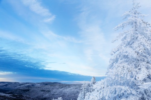 A snowy landscape with frosted trees under a blue sky, showcasing a serene winter scene.