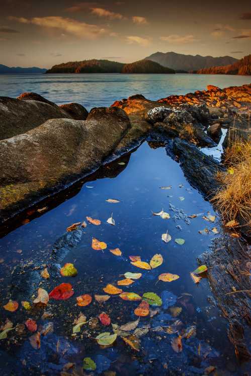 A serene coastal scene with rocks, a calm water pool reflecting autumn leaves, and distant mountains under a sunset sky.