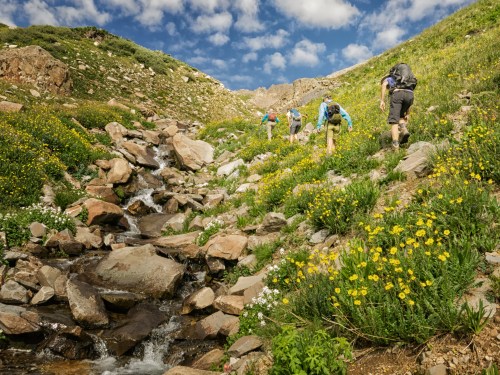 A group of hikers ascends a rocky trail lined with vibrant wildflowers and a small stream under a blue sky.