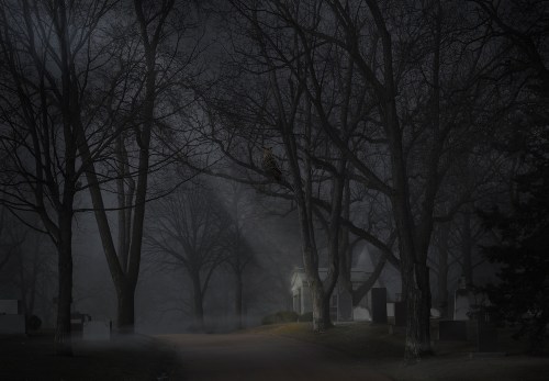 A foggy cemetery scene at dusk, with bare trees lining a path and a faint light illuminating a distant building.