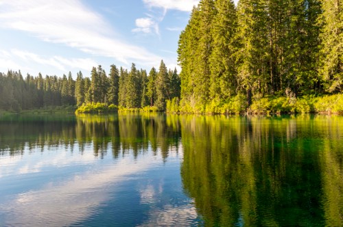 A serene lake surrounded by tall evergreen trees, reflecting the blue sky and clouds on its calm surface.