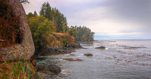 Coastal landscape with rocky shore, lush trees, and calm waters under a cloudy sky.