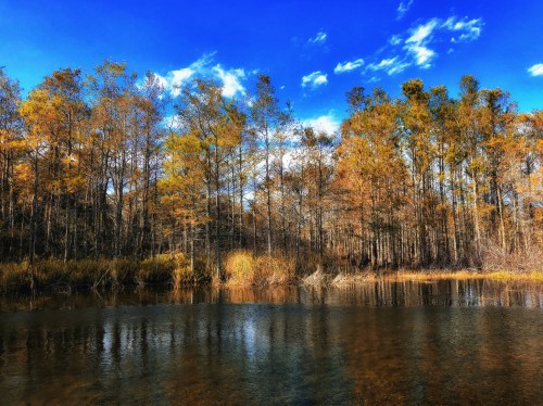 A serene landscape featuring a calm water body surrounded by trees with autumn foliage under a blue sky.