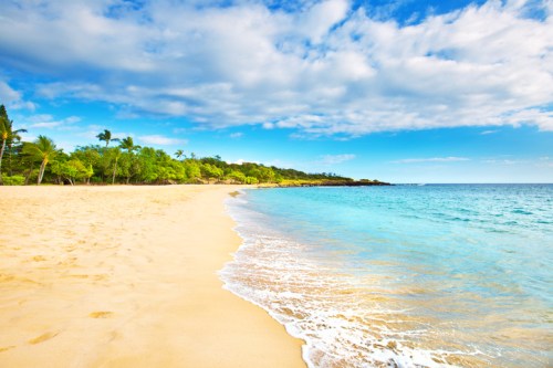 A serene beach with golden sand, gentle waves, and lush greenery under a bright blue sky with fluffy clouds.