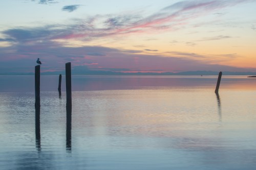 A serene sunset over calm waters, with wooden posts silhouetted against a colorful sky and a bird perched on one post.