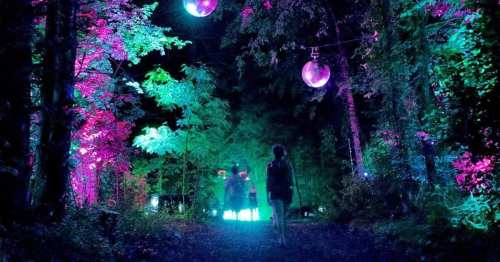 A person walks through a vibrant, illuminated forest with colorful lights and hanging disco balls.