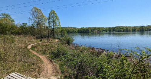 A serene lakeside view with a winding dirt path, surrounded by greenery and trees under a clear blue sky.