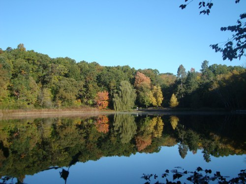 A serene lake surrounded by colorful autumn trees, reflecting the clear blue sky and vibrant foliage.