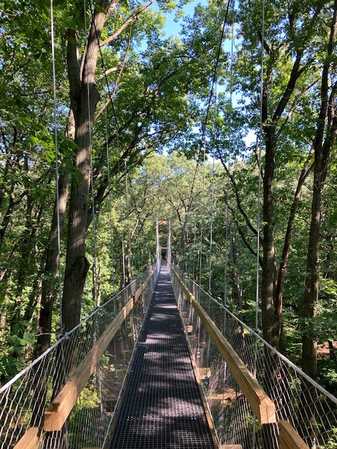 A long suspension bridge stretches through a lush green forest, surrounded by tall trees and bright blue sky.