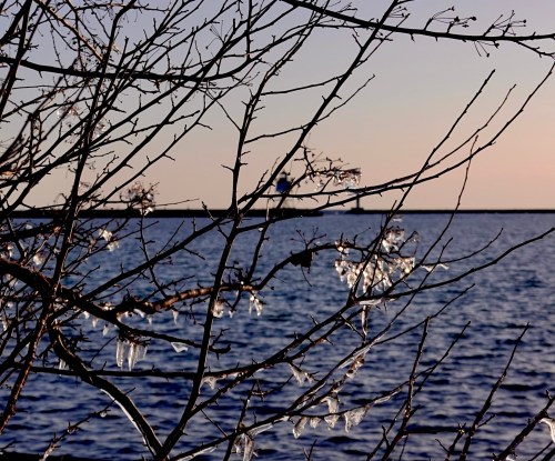 Bare branches with icicles against a serene lake and a soft sunset sky in the background.