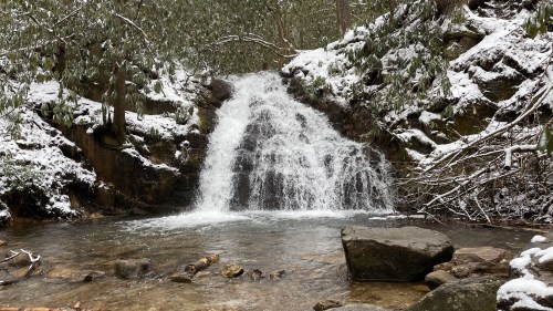 A serene waterfall cascades over rocks into a snowy forest stream, surrounded by lush greenery and winter scenery.