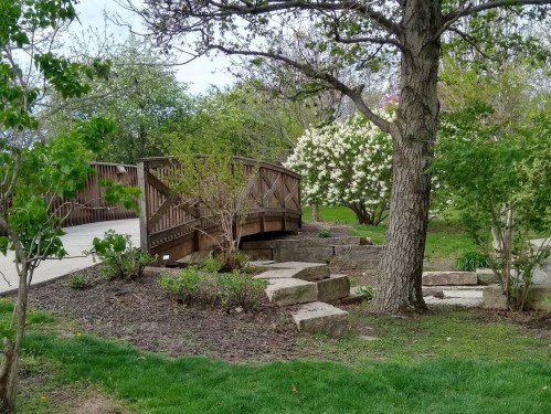 A wooden bridge arches over stone steps, surrounded by greenery and blooming flowers in a peaceful park setting.
