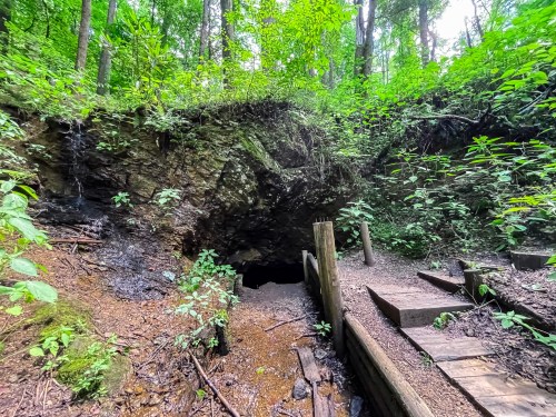A dark cave entrance surrounded by lush green foliage and wooden steps leading up to it.