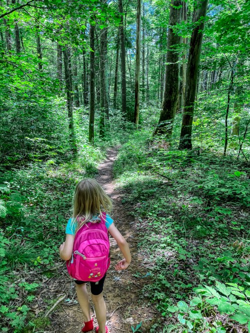 A child with a pink backpack walks along a narrow trail in a lush green forest.