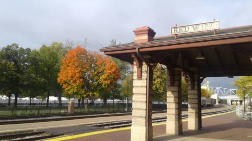 A train station platform with a sign reading "Red Wing," surrounded by trees displaying autumn colors.