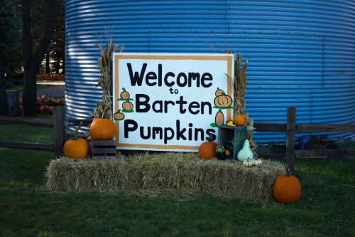 A sign reading "Welcome to Barten Pumpkins" surrounded by pumpkins and hay bales in a grassy area.