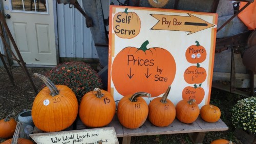 A display of pumpkins with a sign showing prices by size, alongside a pay box and additional items like mums and straw.