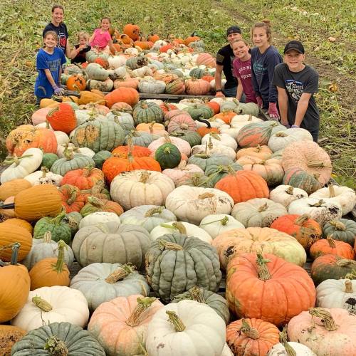 A group of children smiles while standing among a large variety of pumpkins in a pumpkin patch.