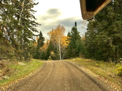 A winding dirt road surrounded by trees with autumn foliage under a cloudy sky.