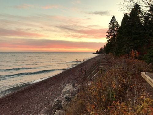 A serene lakeshore at sunset, with gentle waves, colorful foliage, and trees lining the beach under a pastel sky.