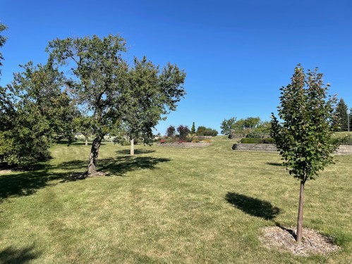A sunny park scene featuring green grass, trees, and a clear blue sky.