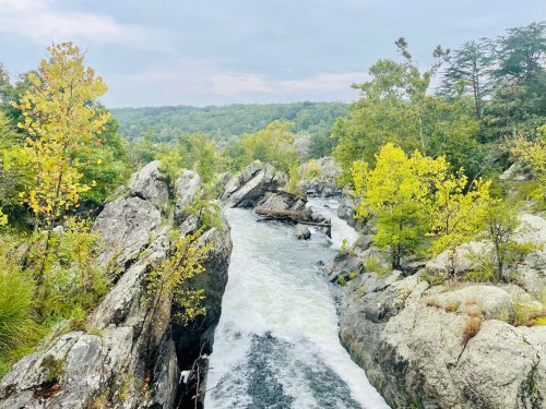 A scenic view of a river flowing through rocky terrain, surrounded by lush green trees and a cloudy sky.