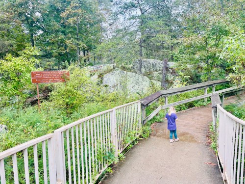 A child stands on a wooden path in a lush, green forest, facing a sign among trees and rocks.