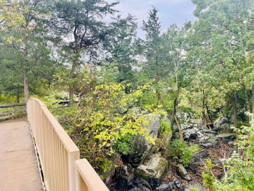 A wooden bridge over a rocky stream, surrounded by lush green trees and foliage under a cloudy sky.