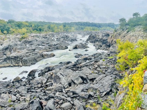 A rocky river landscape with rushing water, surrounded by greenery and trees under a cloudy sky.